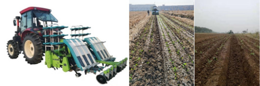 1683603691918999.jpg 1.jpg