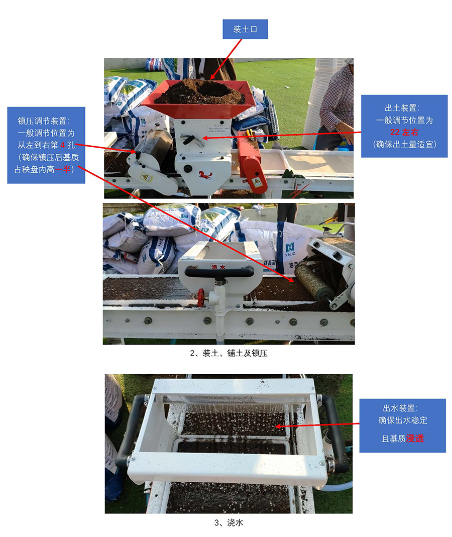 1725333676906359.jpg 云馬--油菜毯狀苗育苗技術(shù)流程_頁(yè)面_2.jpg